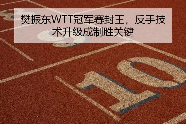 樊振东WTT冠军赛封王，反手技术升级成制胜关键