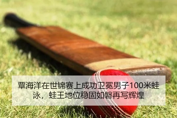 tan-hai-yang-zai-shi-jin-sai-shang-cheng-gong-wei-mian-nan-zi-mi-wa-yong-wa-wang-di-wei-wen-gu-ru-pan-zai-xie-hui-huang-2-269.jpg